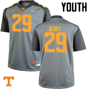 Youth #29 Evan Berry Tennessee Volunteers Limited Football Gray Jersey 267871-314