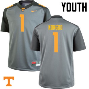 Youth #1 Jonathan Kongbo Tennessee Volunteers Limited Football Gray Jersey 319300-410