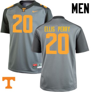 Mens #20 Vincent Ellis Perry Tennessee Volunteers Limited Football Gray Jersey 336325-892