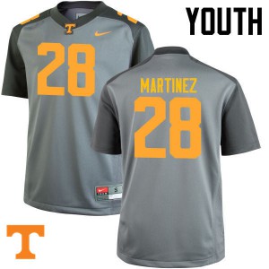 Youth #28 Will Martinez Tennessee Volunteers Limited Football Gray Jersey 485193-437