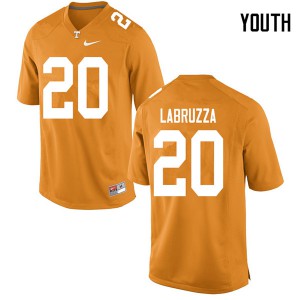 Youth #20 Cheyenne Labruzza Tennessee Volunteers Limited Football Orange Jersey 852504-151