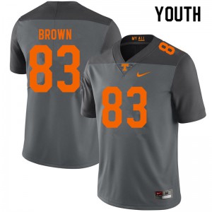 Youth #83 Sean Brown Tennessee Volunteers Limited Football Gray Jersey 997544-171